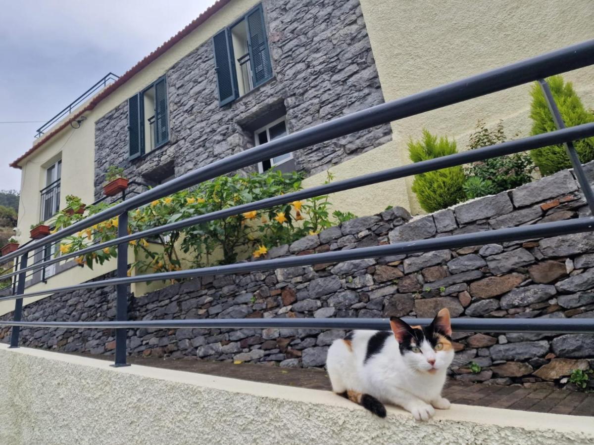 Green Valley House Madeira Ribeira Brava Ngoại thất bức ảnh